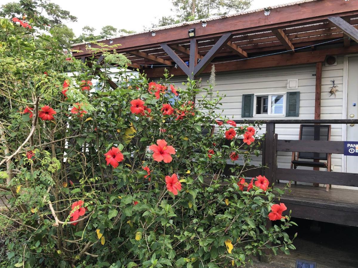 Panorama Ocean View Cottage Мотобу Екстериор снимка