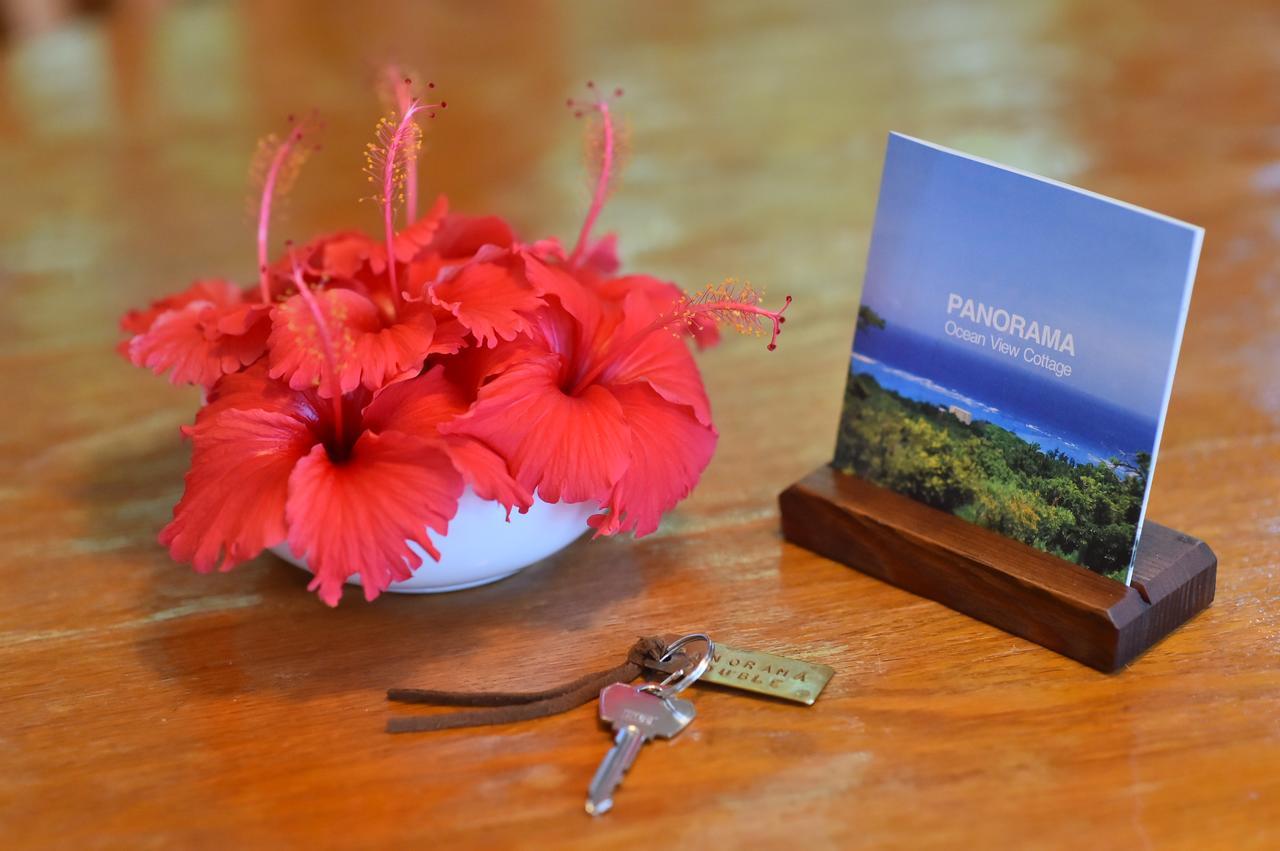 Panorama Ocean View Cottage Мотобу Екстериор снимка
